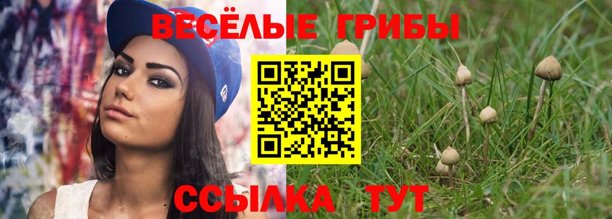 Галлюциногенные грибы ЛСД  Вход с VPN  Унеча 